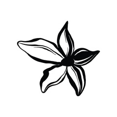 Black and white illustration of a stylized flower