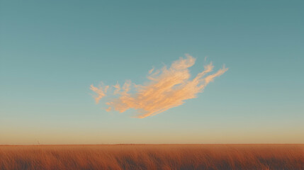 Sunset over golden field, unique cloud formation