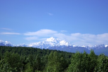 Evening View of Denali’s Snowy Summit