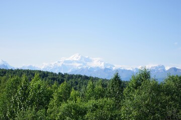 Summer View of Denali’s Snowy Peak in Alaska
