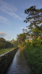 irrigation canal