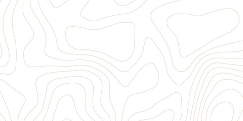 Topography background. Vector banner. Topography background. Vector geographic contour map. Background of the topographic map. Topographic map lines, contour background. 