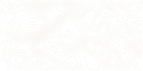 Topography background. Vector banner. Background of the topographic map. Topographic map lines, contour background.  Topography background. Vector geographic contour map. 