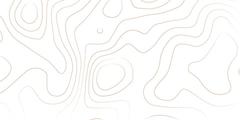 Geography landscape Topo contour map on white background, Topographic contour lines. Seamless pattern with lines Topographic map. Geographic mountain relief diagram line wave carve pattern. 