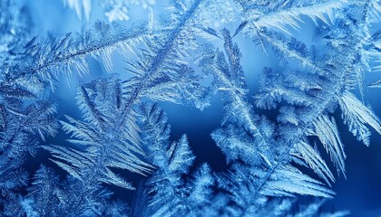 Close up of a frozen branch with ice crystals on it