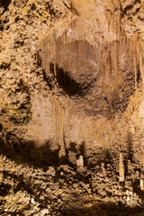 Rock formations in Carlsbad Caverns National Park, New Mexico
