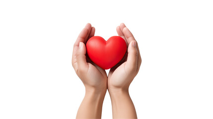 Obraz premium Protecting a Heart Hands Holding Red Heart Symbol