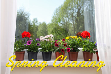 Spring cleaning. Beautiful potted flowers on windowsill on sunny day