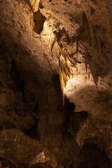 Rock formations in Carlsbad Caverns National Park, New Mexico