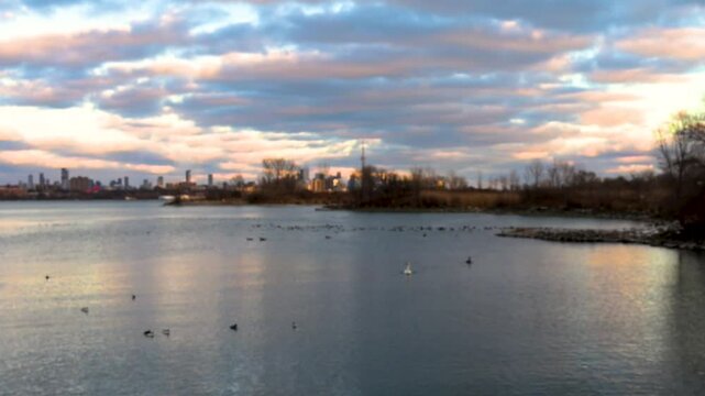 A tranquil sunset at Toronto&rsquo;s waterfront near Mimico and Lake Shore. High-rise buildings glow in the golden light as ducks swim peacefully in the calm water, creating a serene urban scene.

