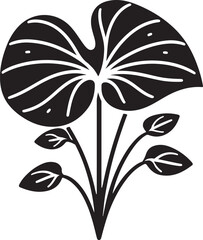 isolated Alocasia Polly icon Vector, Alocasia Polly Silhouette,Alocasia Polly icon set, black Alocasia Polly symbol for logo,color  Vector illustration, Vector Graphic, EPS 10 
