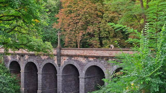 Woman Hiking Outdoor over an old foot bridge surrounded by nature and trees, Rhine River Valley, Germany