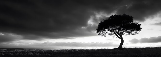 A monochrome silhouette of a lone tree standing against a dramatic sky at dusk