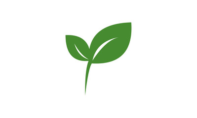 green leaf logo design