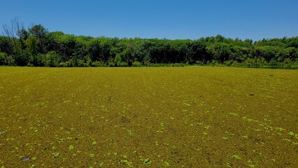 Ecological reserve is the most biodiverse green space in the city of Buenos Aires Argentina
