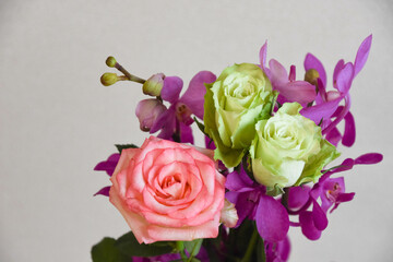 薔薇とアランダ