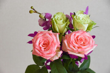 薔薇とアランダ