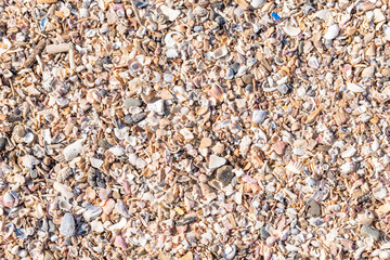 貝殻でできた砂浜