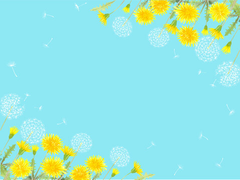 たんぽぽ Images – Browse 11,941 Stock Photos, Vectors, and Video