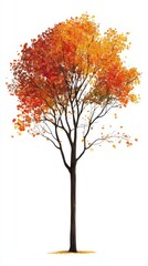 A tree with red leaves stands alone on a white background. The tree is the main focus of the image, and the red leaves create a sense of warmth and vibrancy