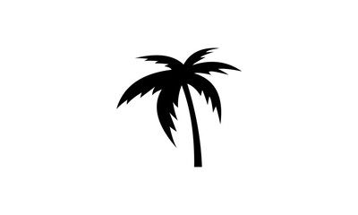 palm tree logo vector