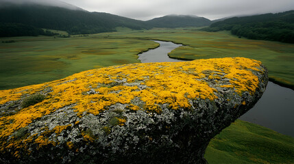 Mountain valley river landscape, yellow lichen rock