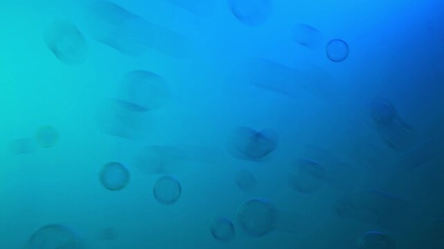 flying soap bubbles on a multi-colored background