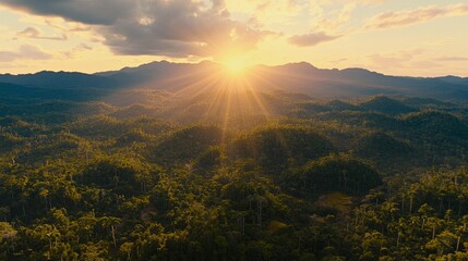 Fototapeta premium Golden Hour Sunbeams Illuminate Lush Rainforest Mountains