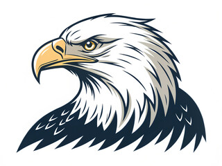 Obraz premium american bald eagle