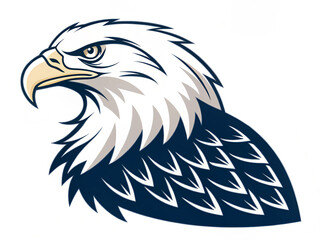 Fototapeta premium american bald eagle