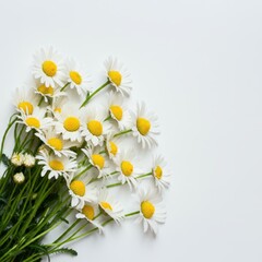 White daisies, green stems, scattered arrangement, soft focus, bright background, minimalist composition, natural light, fresh flowers, delicate petals, spring mood, botanical photography, clean aesth