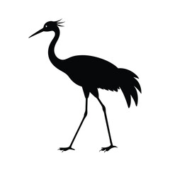 black crowned crane vector illustration