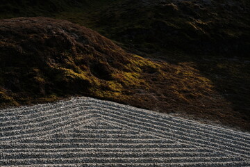 Zen Explore the gardens and And To the city