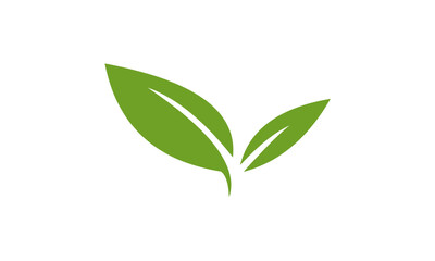 green leaf logo