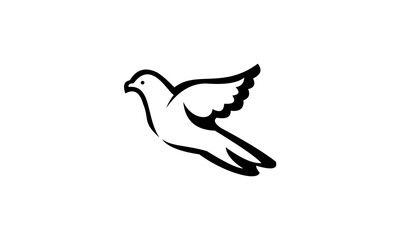bird logo vector