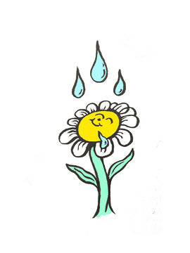 getting watered
