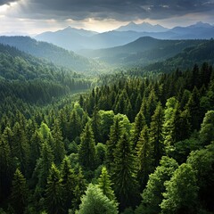 Obraz premium Breathtaking Aerial View of a Lush Green Forest and Mountains Under Dramatic Clouds