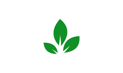 grean leaf logo