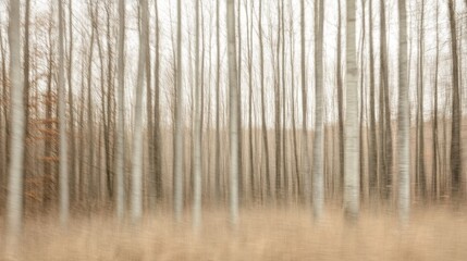 Blurred forest landscape with tall trees in autumn, showcasing a serene and tranquil atmosphere