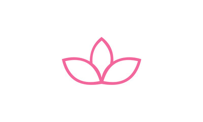 pink lotus flower