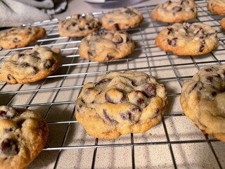 Chocolate chip cookies fresh out of the oven