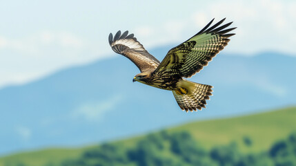 Obraz premium A buzzard is flying high in the clear blue sky, with wings spread wide, green mountains in the background, Ai generated images
