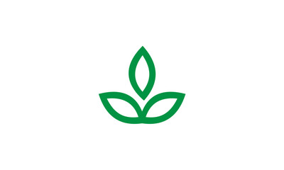 green leaf icon