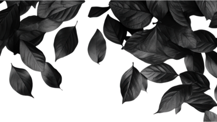 Black Leaves Scatter on Transparent Background, Ideal for Digital Design and Creative Projects, Versatile Element for Various Applications