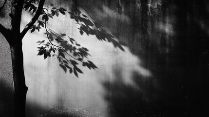 Obraz premium Abstract Black and White Forest Scene with Dramatic Light and Shadow