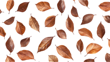 Brown Leaves on White, scattered earthy leaves forming a warm seamless pattern, ideal for backgrounds and design elements