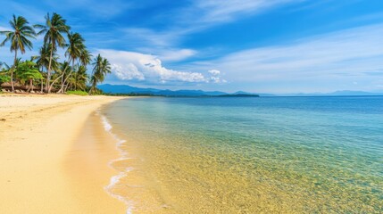 A scenic coastal beach with crystal-clear waters and palm trees against a blue sky, Beach scene, Tropical paradise style