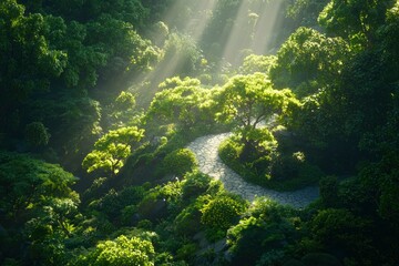 Sunlit Garden Path Winding Through Lush Green Foliage