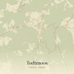 Vintage map of Todtmoos, Germany.