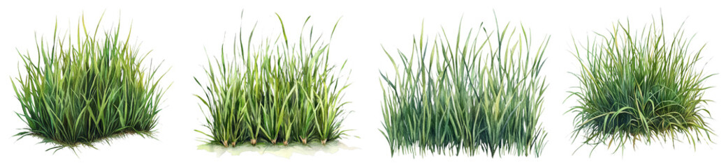 Fototapeta premium Freshly Mowed Grass in Watercolor Style Showcasing Vibrant Green Colors and Natural Beauty of Landscapes